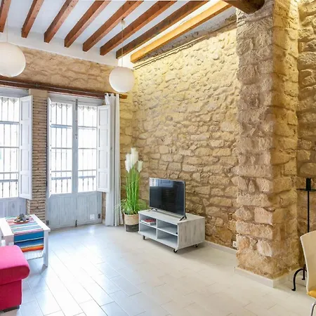 Casco Antiguo Appartement